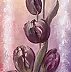 Małgorzata Mutor - Tulipes ressort 4