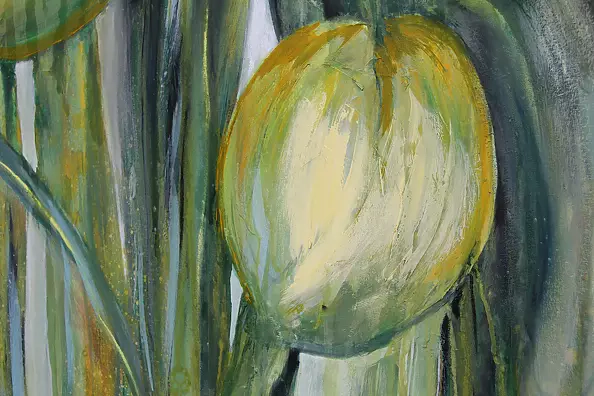 Zbigniew Czarnecki - tulips