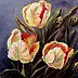 Małgorzata Mutor - tulipes