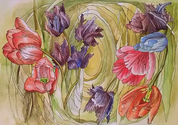 Dorota Kędzierska - tulips