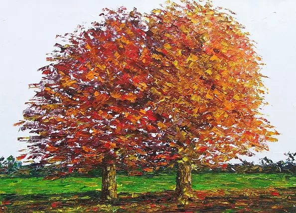 Massimo Spolon - Bliźnięta