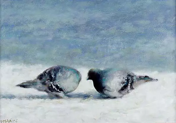 Piotr Pilawa - Two pigeons in the snow
