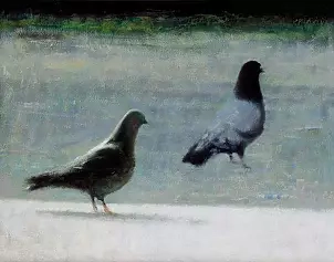 Piotr Pilawa - two pigeons