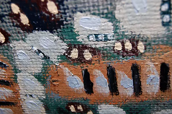 Amelia Augustyn - Tygrys