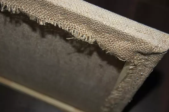 Amelia Augustyn - Tygrys