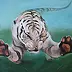 Dorota Iwona Kaminska - Tygrys