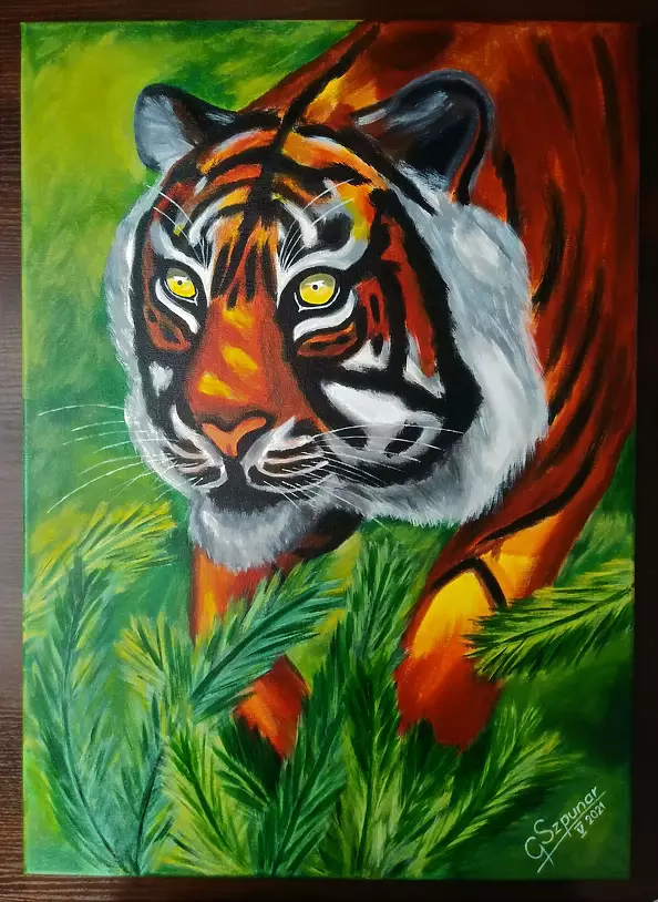 Grzegorz Szpunar - Tygrys