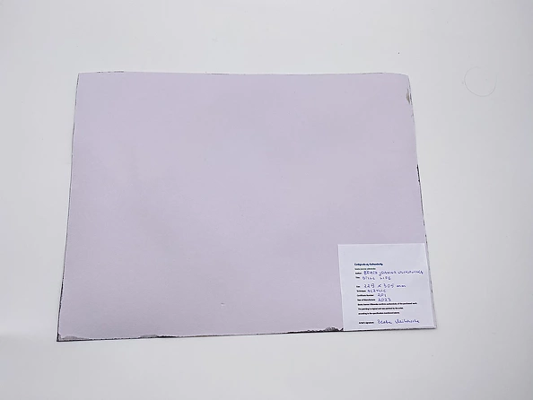 Beata Ulikowska - Ugly Still Life