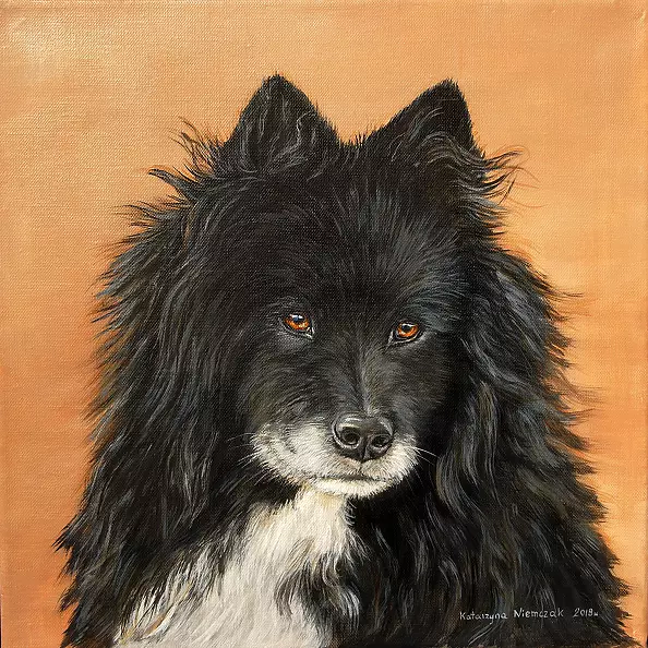 Katarzyna Niemczak - Ukochany