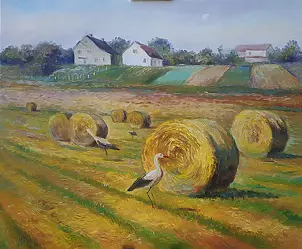   - Ukrainian provence