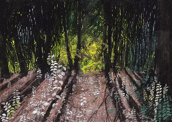 Angelika Mus Nowak - Light hidden in the forest