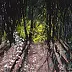 Angelika Mus Nowak - Light hidden in the forest