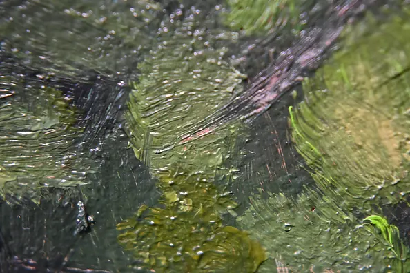 Agnieszka Długołęcka - Ule II