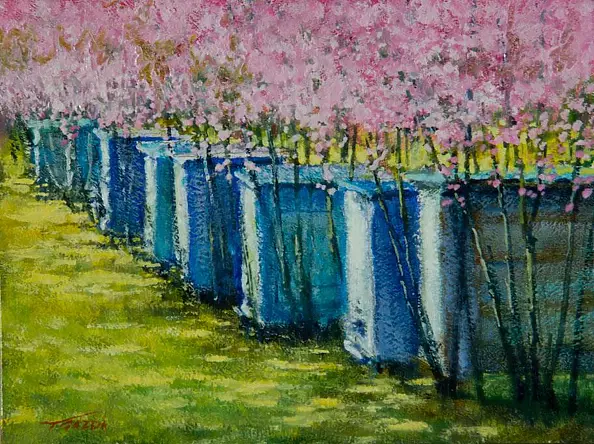 Tadeusz Gazda - hives VI