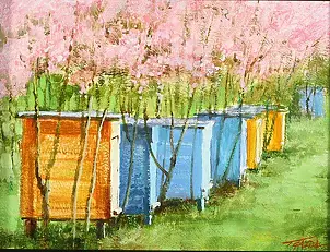 Tadeusz Gazda - beehives