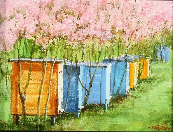 Tadeusz Gazda - beehives