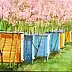 Tadeusz Gazda - beehives