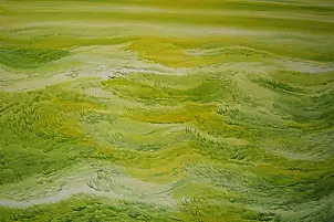 Marina Profumo - Pod słońcem 