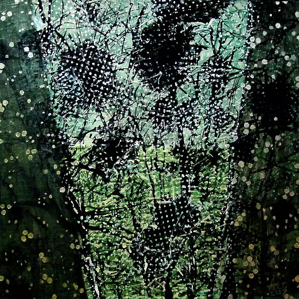 Agnieszka Głowacka - universe waxwings