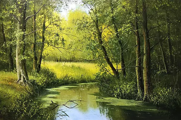 Marek Szczepaniak - A charming corner