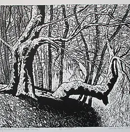 Elżbieta Pyra - Cliff over Solinka