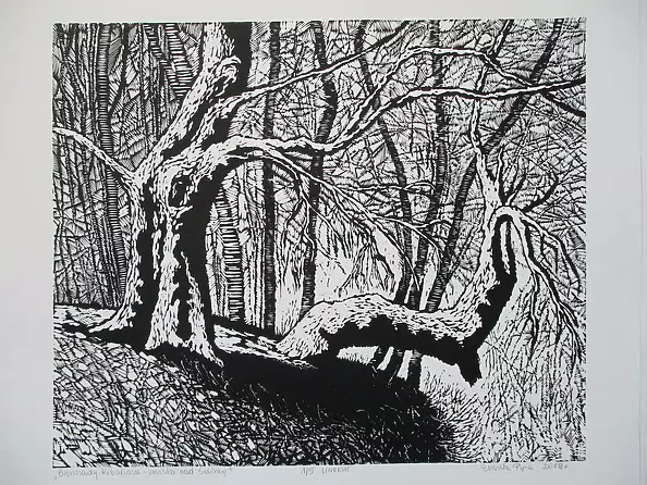 Elżbieta Pyra - Urwisko nad Solinką