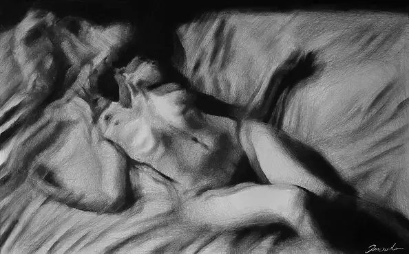 Kamila Ossowska - Entangled