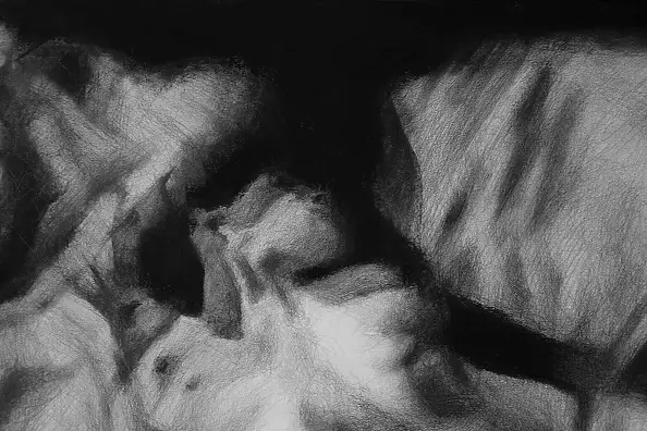 Kamila Ossowska - Entangled