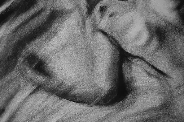 Kamila Ossowska - Entangled