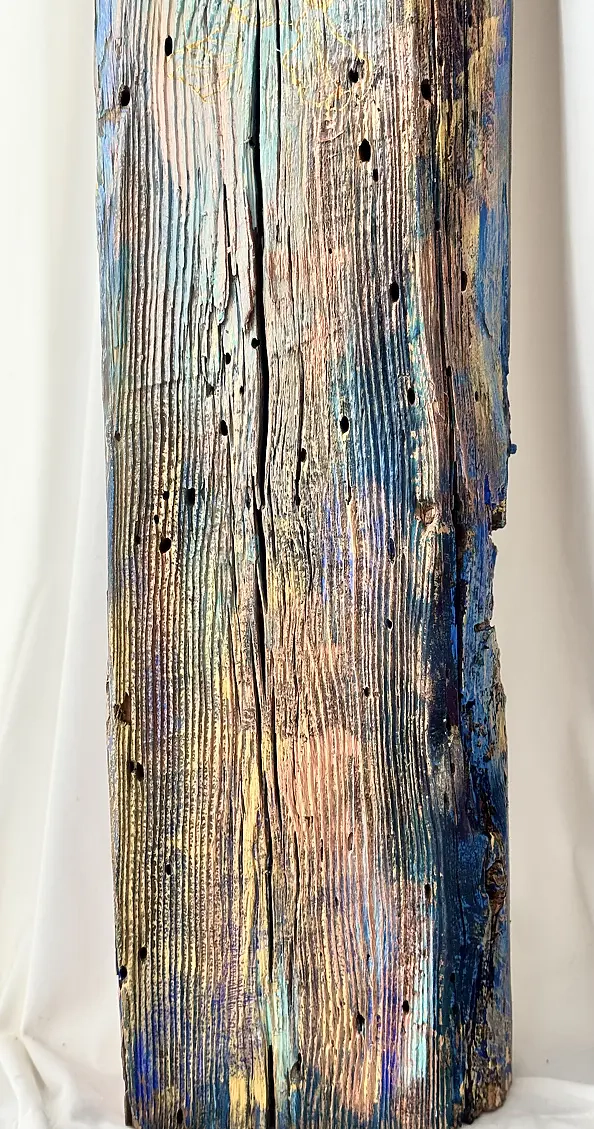 Sylwia Kalinowska - VERA ANGELICA ON THE BOARD