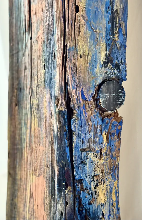 Sylwia Kalinowska - VERA ANGELICA ON THE BOARD