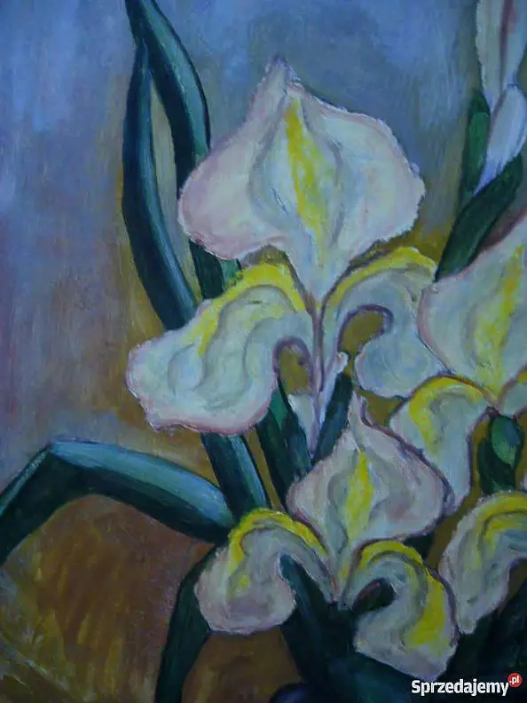 Małgorzata Grzechnik - Van-Gogh painted irises