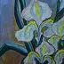 Małgorzata Grzechnik - Van Gogh ha dipinto le iridi