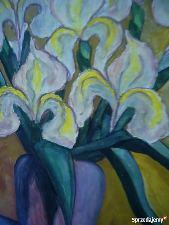 Małgorzata Grzechnik - Van-Gogh painted irises