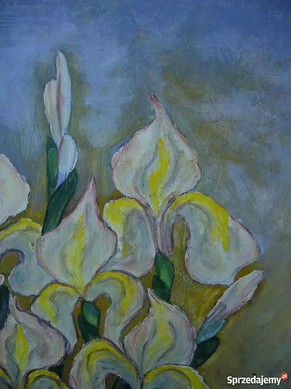 Małgorzata Grzechnik - Van-Gogh painted irises