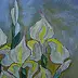 Małgorzata Grzechnik - Van-Gogh peint des iris