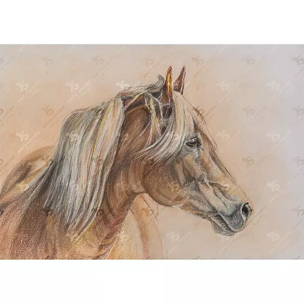 Jowita Szmigiero - Vasagle