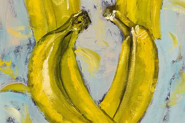 Mariusz Krzysztof Aniśko - Vegan Shift