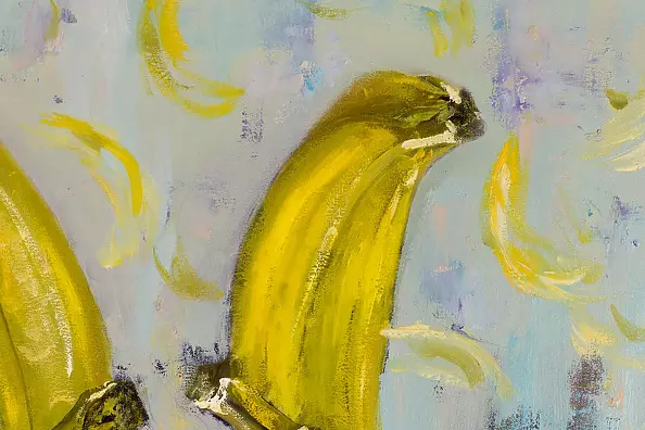 Mariusz Krzysztof Aniśko - Vegan Shift