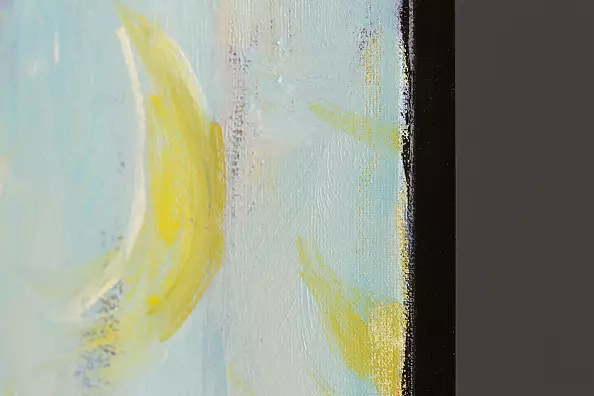 Mariusz Krzysztof Aniśko - Vegan Shift