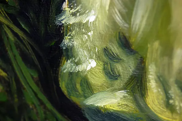 Amelia Augustyn - Veggie