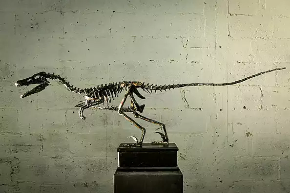 Dawid Rogiński - Velociraptor