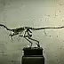 Dawid Rogiński - Velociraptor