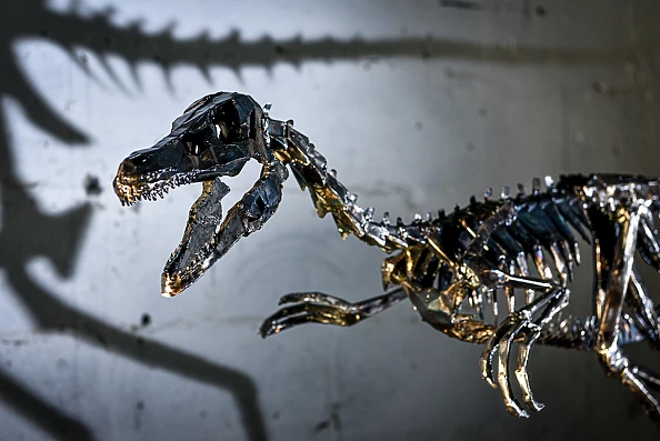 Dawid Rogiński - Velociraptor