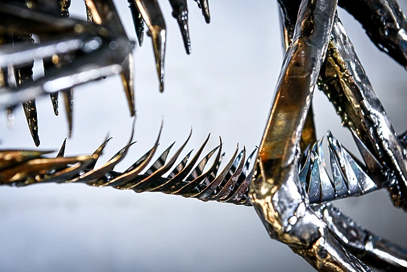 Dawid Rogiński - Velociraptor