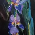 Zdzisław Rutkowski - Purple irises on a dark background