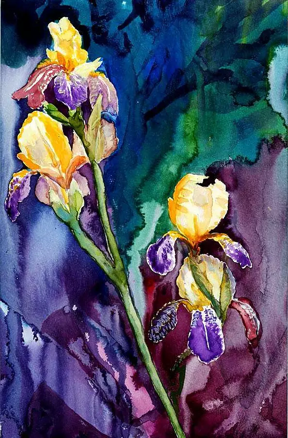 Zdzisław Rutkowski - Fioletowe irysy