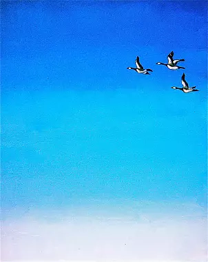   - Volare nel blu ...