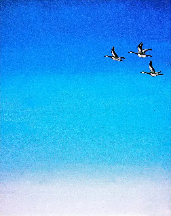 Guido Schraner - Volare nel blu ...