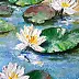 Yana Yeremenko - "WATER LILIES",oil painting, flowers